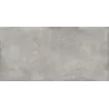 Rapid gris
